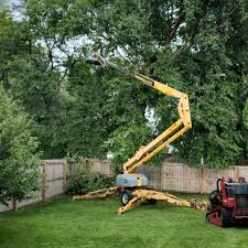 Best Lot and Land Clearing  in Haskell, TX